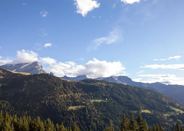 Les Arsets 308-15 By Interhome Apartment Taveyannaz